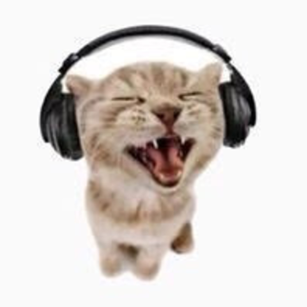 Meet your Posher, Pomona